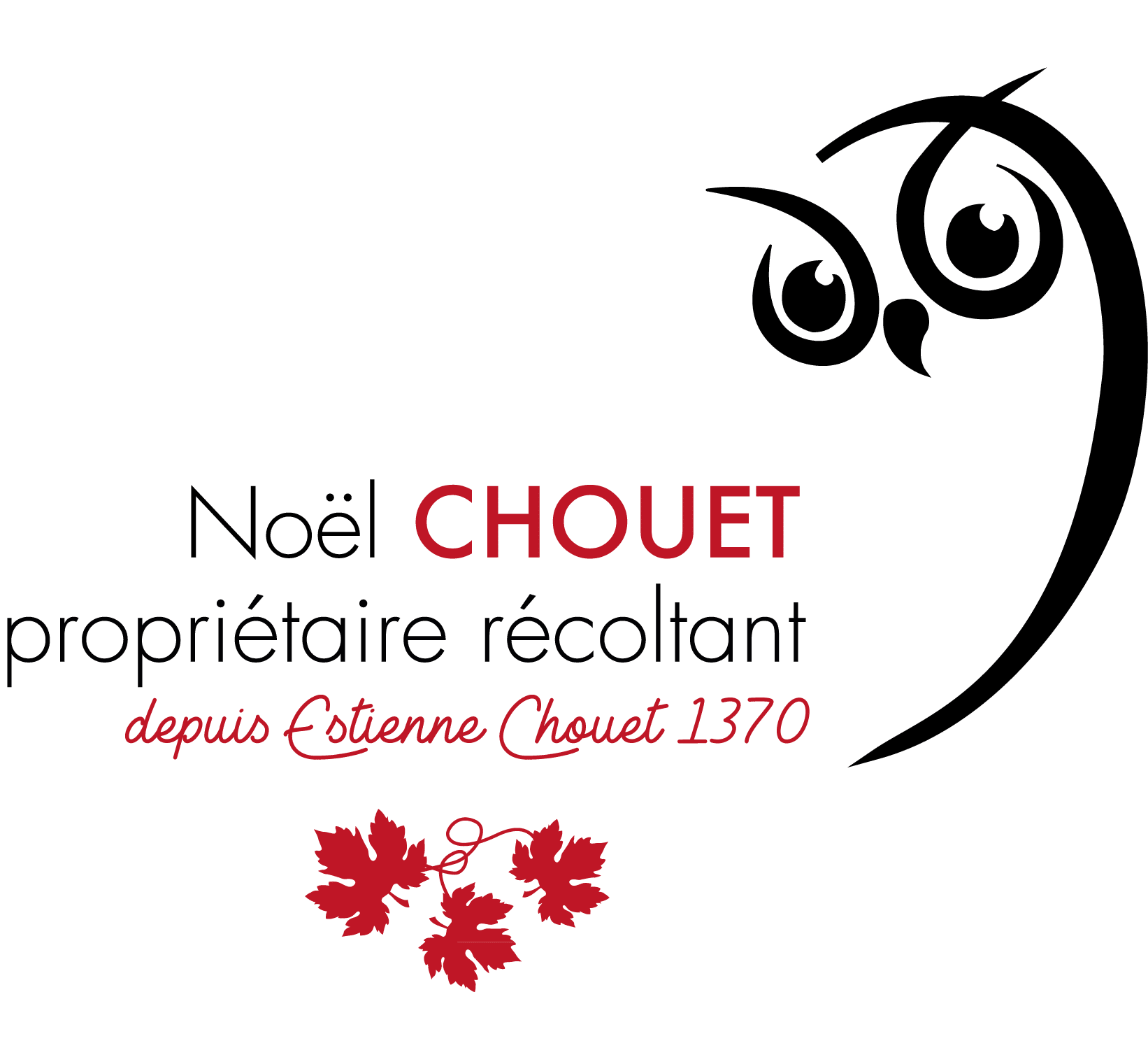 Noel Chouet Vins à Meursault